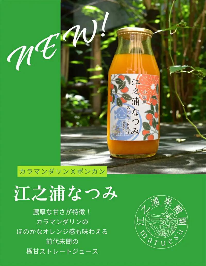 【定期便 9回】 小田原産江之浦みかんジュース３種のみくらべ３０本セット うんしゅう・なつみ・バレンシアオレンジ１００％ストレートジュース１８０ml各１０本合計３０本【みかんジュース みかんジュース 