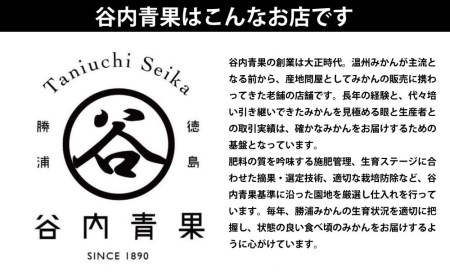 谷内青果 早生みかん 秀品 サイズ混合 10kg