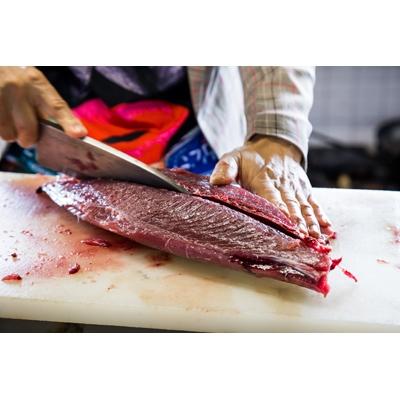 ふるさと納税 南国市 土佐沖一本釣り戻りカツオわら焼き生たたき【おひとり様用・190g】