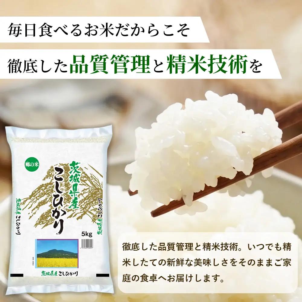 【令和8年産】茨城コシヒカリ 20㎏（5kg×4袋）【精米】 | お米 米 こしひかり 茨城県産 白米 ブランド米 小分け