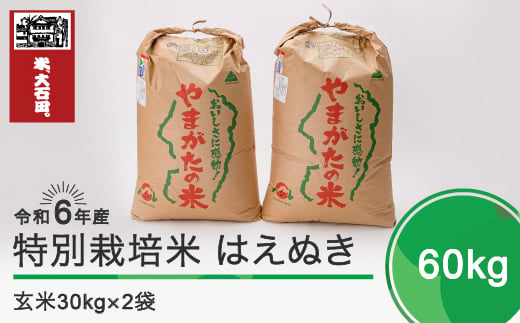 
            新米 令和6年産 米 はえぬき 60㎏ 大石田町産 特別栽培米 玄米 ja-hagxb60
          