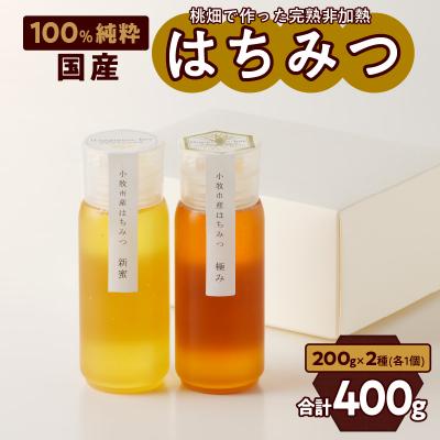 ふるさと納税 小牧市 桃畑で作った完熟非加熱はちみつ2種(200g×2個)新蜜&amp;極み[055A15]