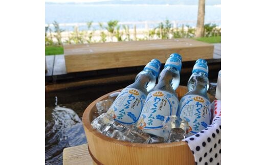 
										
										能登海洋深層水配合 和倉温泉わくたまくん「わくラムネ」 200ml×30本◆｜海洋深層水 炭酸飲料 ラムネ ガラス瓶 ビー玉 子供会 縁日 お祭り ※着日指定不可
									