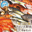 【ふるさと納税】魚 富山湾直送 さばいた鮮魚セット 3～4種 旬 新鮮 鮮魚 刺身 詰め合わせ 産地直送 冷蔵/くろべ漁業協同組合 魚の駅「生地」/富山県 黒部市　【 海鮮 魚介類 魚介 セット 】