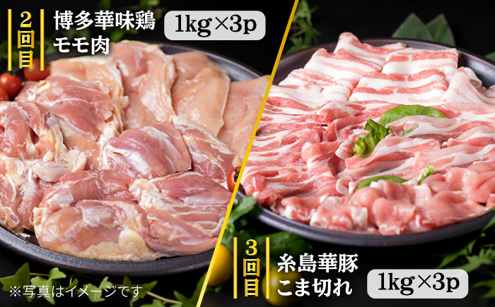 【定期便】家族でたっぷり！ボリューム満載 糸島お肉セット 定期便 全7回 （月1回） 3人用 糸島市 / 糸島ミートデリ工房 [ACA086]