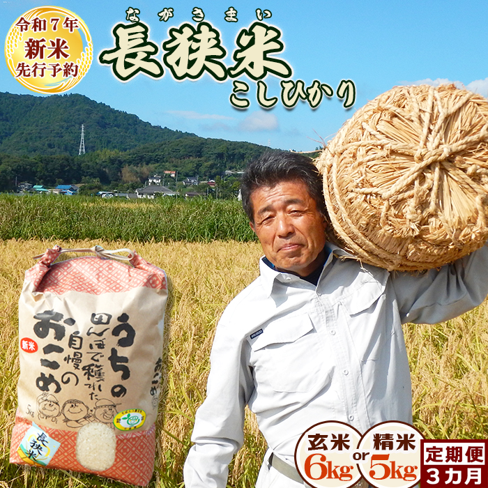 《令和７年産 新米》田代農園の定期便『長狭米コシヒカリ（一等米）』【玄米６kg】×３カ月　[0054-0003]