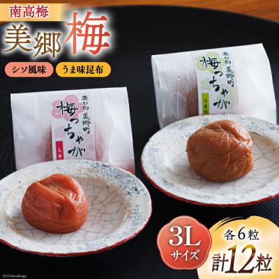ふるさと納税 美郷町 南高梅 梅干し 美郷梅 一粒入り うま味昆布 &amp; シソ風味 各6粒 3Lサイズ [31ab0101]