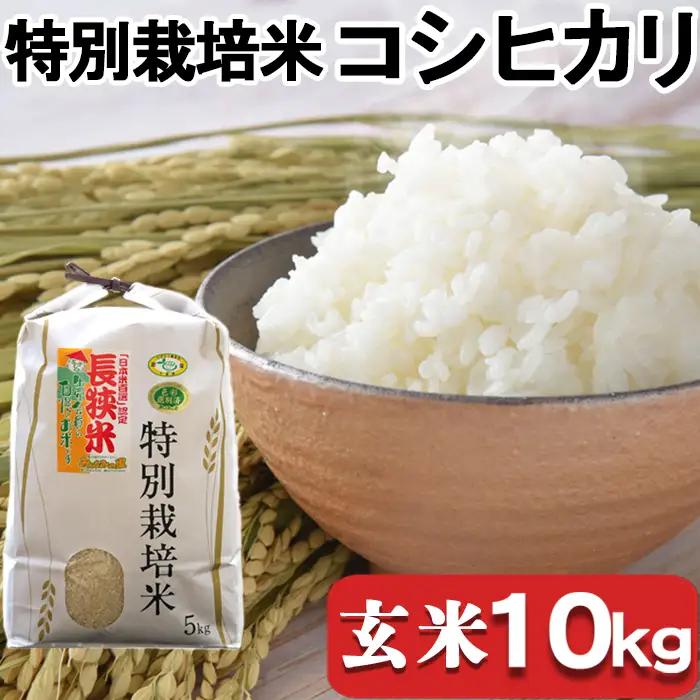 【千葉県知事賞受賞】川名一将さんちの長狭米 特別栽培米コシヒカリ10kg【玄米】 [0032-0005]