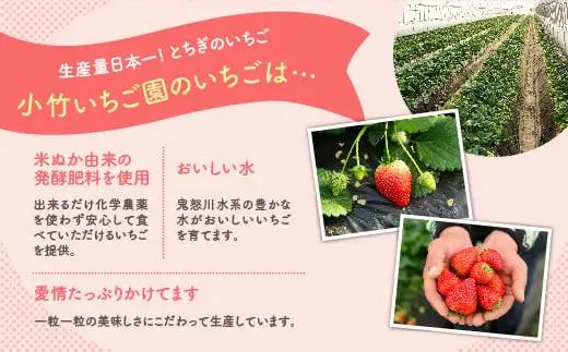 《数量限定》新旧2種食べ比べセット（とちおとめ、とちあいか） 270g×2パック（540g）｜いちご イチゴ 苺 先行予約 栃木県 果物 くだもの フルーツ とちおとめ とちあいか 新鮮 贈答 ギフト
