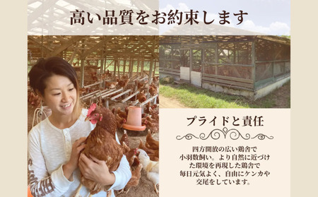 種子島 夢まるガーデン 若鶏 1羽 分 約1,2kg （ 精肉 用 ）　NFN635 【675pt】