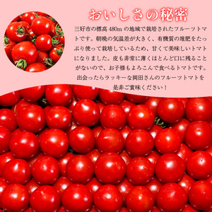 フルーツトマト 1kg 産地直送 高糖度 薄皮 旬 幻のトマト トマト リコピン ビタミンC 野菜 美容 栄養 甘い おいしい お弁当 夕飯 サラダ おかず 岡田之 野菜 徳島 三好 みよし