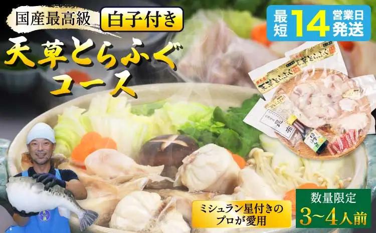 【先行予約】 数量限定 白子付 大皿使用 国産最高級 天草 とらふぐ コース 3～4人前 【2026年12月下旬～2027年3月下旬発送予定】 〈熊本地震復興応援〉