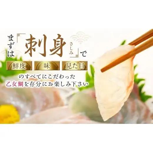 【 鯛 】 乙女鯛 フィーレ 1.5kg