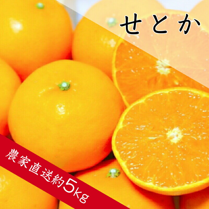 【ふるさと納税】【年内予約受付中！】 せとか 約5kg みかん 濃厚 甘い 柑橘 大トロ フルーツ 果物 くだもの 人気 おすすめ レビュー高評価 ギフト 贈答 送料無料 国産 和歌山 有田市【2026年2月中旬より順次発送】（A139-1）