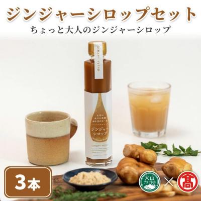 ふるさと納税 境港市 &lt;日南トマト加工&gt;ジンジャーシロップ3本セット