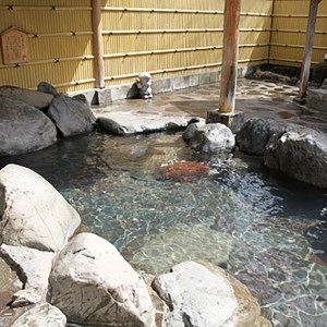 ＜多摩源流小菅の湯＞一年フリーパスチケット