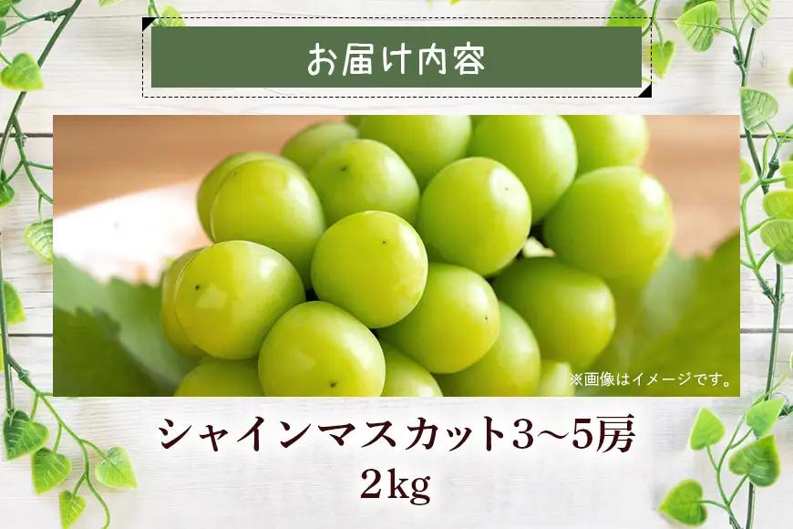 【 2026年 先行予約 】 シャインマスカット 2kg 石田ぶどう園 3房 ～ 5房 種なし ぶどう ブドウ 国産 果物 くだもの 大粒 葡萄 種無し フルーツ 2キロ 9月 10月 発送 秋 旬 