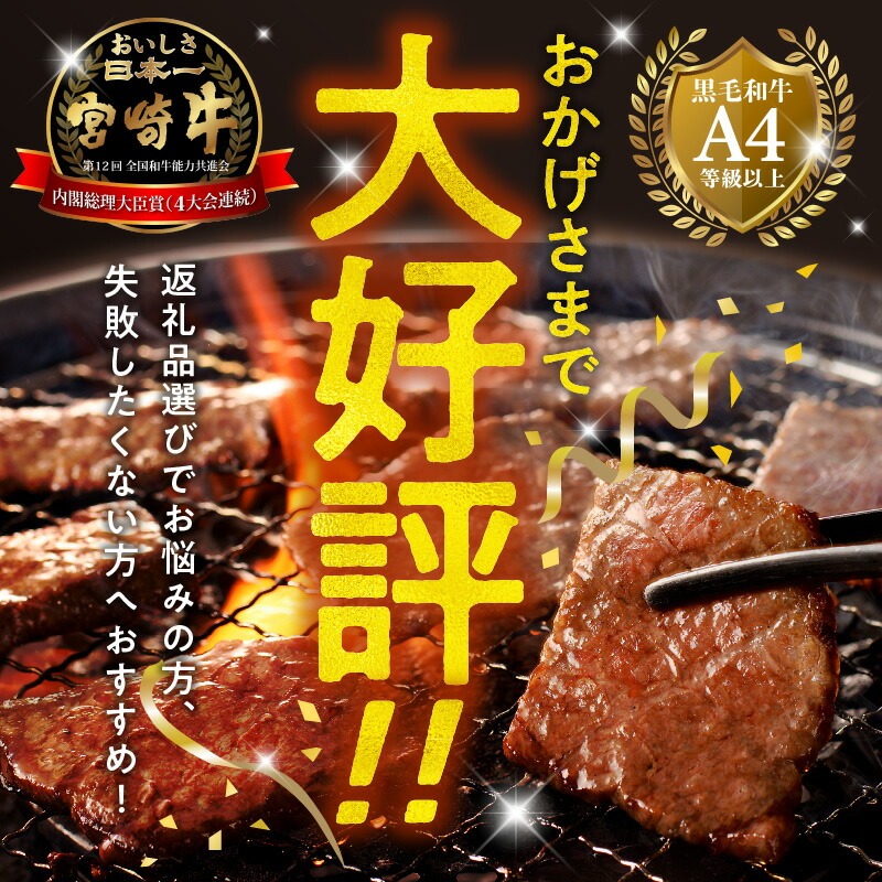 宮崎牛 カルビ焼肉500g N0140-YA5518