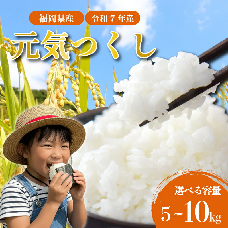 【ふるさと納税】寄付額改定！ R7年度産 米 選べる容量 5kg / 10kg 令和7年産 元気つくし 5キロ 10キロ 生活応援米 ふるさと納税 米 精米 お米 白米 福岡県産 九州産 ブランド 米 数量限定 国産 福岡県産米 コスパ 備蓄米 5kg 防災 コメ 5kg×2 辻園芸 福岡 川崎町