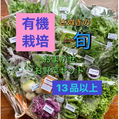 ふるさと納税 さぬき市 さぬき市小田産の食を楽しむTAGATAMEのお任せお野菜セット【大満足サイズ】13品以上