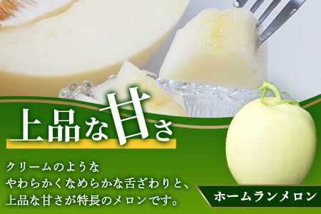 【2025年4月下旬発送開始】【先行予約】熊本県産 ホームランメロン アンデスメロン 食べ比べ 計5玉 約5kg 令和7年 先行 御予約 予約 ご予約 熊本 くまもと メロン フルーツ 083-062