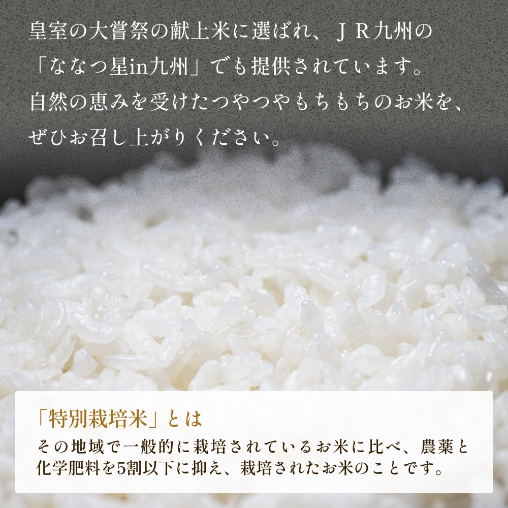 【お中元対象】大分県産 玖珠米 ひとめぼれ 4kg 贈答用 白米