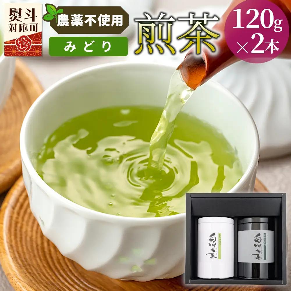 農薬不使用！煎茶 ギフト NO.16（みどり120g×2 計240g） 常磐園 みどり 日本茶 緑茶 茶葉 お茶 白川茶 春摘み 岐阜県 東白川村 お取り寄せ 贈答用 プレゼント 母の日 ギフト