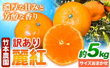  訳あり 麗紅 5kg みかん 麗紅