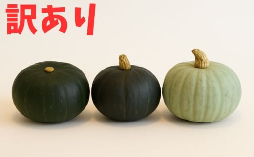 北海道 かぼちゃ 訳あり ダークホース・とっておき・特濃こふき 3種類×1個 《足寄町》【足寄アグリバイオ株式会社】かぼちゃ カボチャ ダークホース とっておき 特濃こふき 訳あり ハロウィン グラタン スープ 旬 新鮮 北海道産 道産 寒冷地 あしょろ [BEAC014]