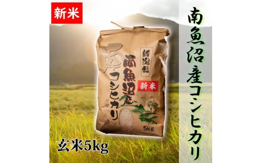 
                  【令和8年産 新米予約】【高級】南魚沼産こしひかり 玄米5kg 新潟県の特A地区南魚沼市の美味しいお米【銘柄米 ブランド米 玄米 こしひかり コシヒカリ 魚沼産 新潟米】【2026年10月上旬から1ヶ月以内に順次発送予定】
                