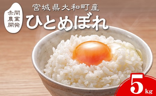 【令和8年産 新米】ひとめぼれ 5kg お米 おこめ 米 コメ 白米 ご飯 ごはん おにぎり お弁当【赤間農業開発株式会社】ta721