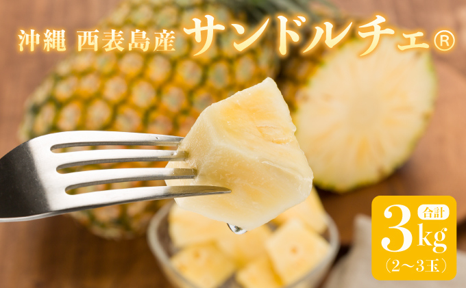 熟鮮サンドルチェ(R) 3kg(2～3玉 )2026年 先行予約 パイン沖縄 西表島産 レア品種 沖縄 西表島産 果物 フルーツ