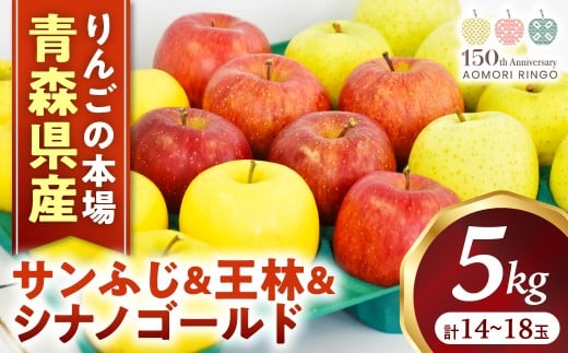 りんご【サンふじ＆王林＆シナノゴールド】セット 約5kg（計14～18玉）【2025年産・先行予約】★2025年12月上旬～12月下旬頃まで発送予定★ りんご 林檎 リンゴ 国産 旬 フルーツ 果物 贈答 土産 青森県 三戸町 R0315