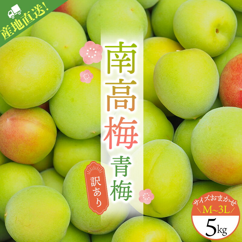 【ふるさと納税】 【5月20日までの受付！】 訳あり ご家庭用 南高梅 青梅 5kg M-3L サイズおまかせ | 梅 梅干 梅干し うめぼし うめ ウメ 青梅 生梅 梅酒 梅ジュース 梅シロップ 健康 夏バテ防止 夏バテ対策 クエン酸 期間限定 数量限定 人気 送料無料