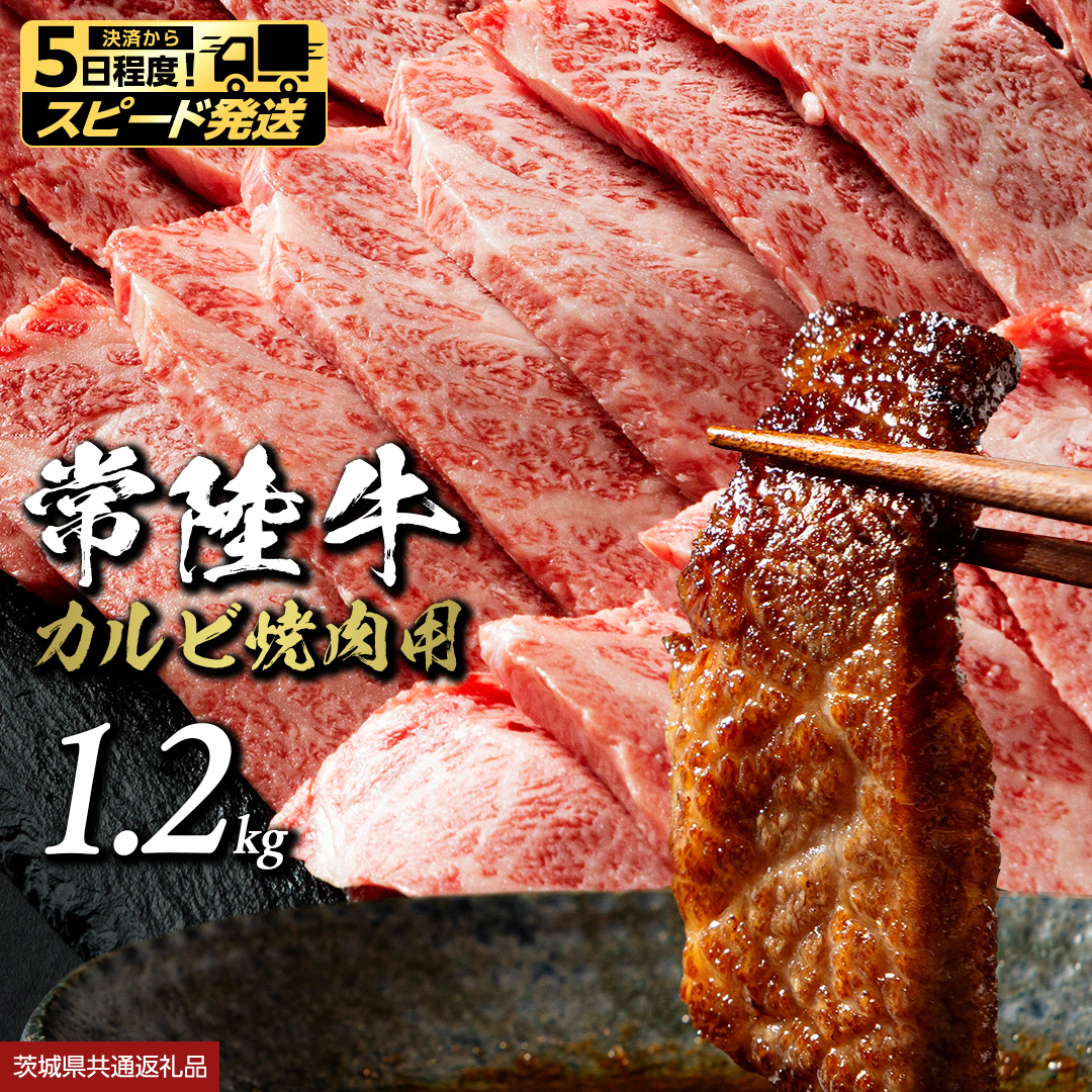  【 スピード発送 】常陸牛 焼肉用カルビ 1.2kg (茨城県共通返礼品) ひたちぎゅう カルビ焼肉 牛肉 肉 お肉 精肉 国産牛 ブランド牛 和牛 カルビ 牛カルビ 使い勝手 冷凍 焼肉 BBQ 