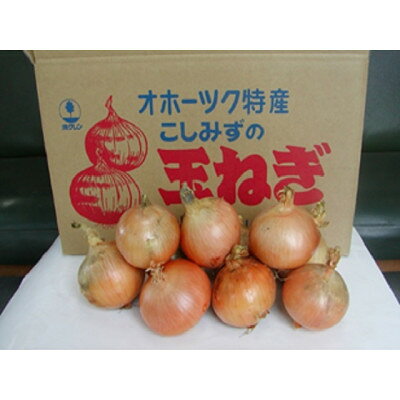 【ふるさと納税】北海道小清水町産 玉ねぎ20kg 甘み豊か 産地直送【1763299】