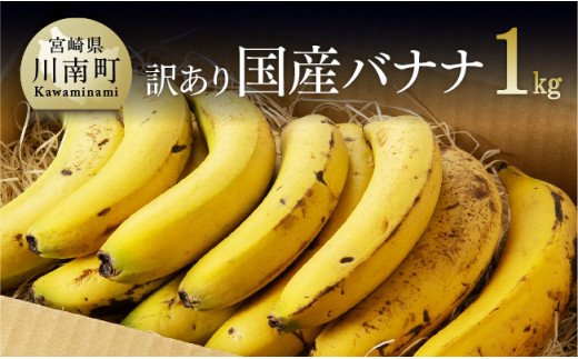 【訳あり】国産バナナ１ｋｇ（10本～13本程度） [F5802]