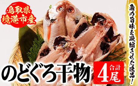 開のどぐろ干物(計4尾) 国産 魚介 干物 干し物 白身 海の幸 のどぐろ 赤ムツ 冷凍 おかず おつまみ【sm-AH003】【大海】