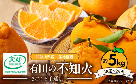 ZE6377n_有田の不知火(しらぬひ) 5kg　18～24玉　（M～2Lサイズ）まごころ手選別