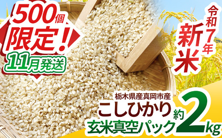 【先行予約】【ふるさと納税】いちご農家さん応援米！令和7年度新米 真岡市産こしひかり（玄米真空パック) 約2kg  | 新米 真岡市産 こしひかり 真空 パック 米  お米 玄米 もちもち ふるさと納税 栃木県 真岡市