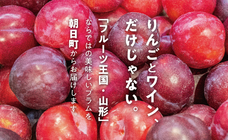 山形県 朝日町産 プラム サンセプト 2kg 大玉 2L～3L 秀品 化粧詰め 山形産 すもも スモモ フルーツ 果物 秋【9月中旬～９月下旬発送】