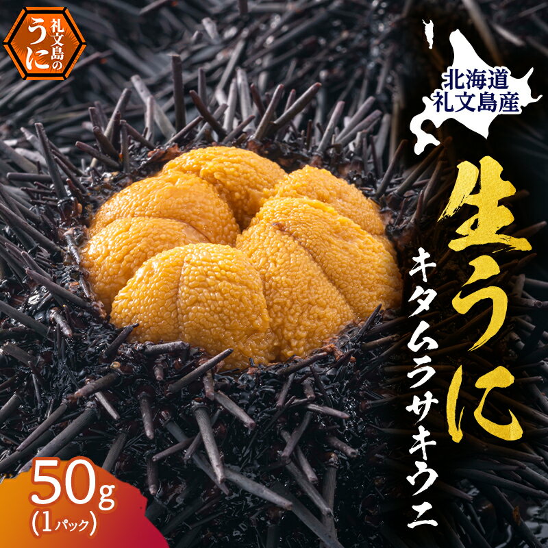 【ふるさと納税】北海道 礼文島産 採れたて キタムラサキウニ 塩水パック 50g×1 生うに 生ウニ 塩水うに 魚貝類 雲丹　お届け：2025年5月～9月末まで