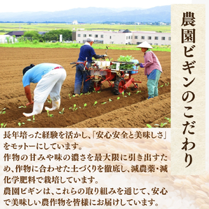 令和7年産 昔ながらの魚沼産コシヒカリ 従来品種 定期便 60kg（5kg×2袋×毎月全6回）農園ビギン/定期便 定期便 定期便 定期便