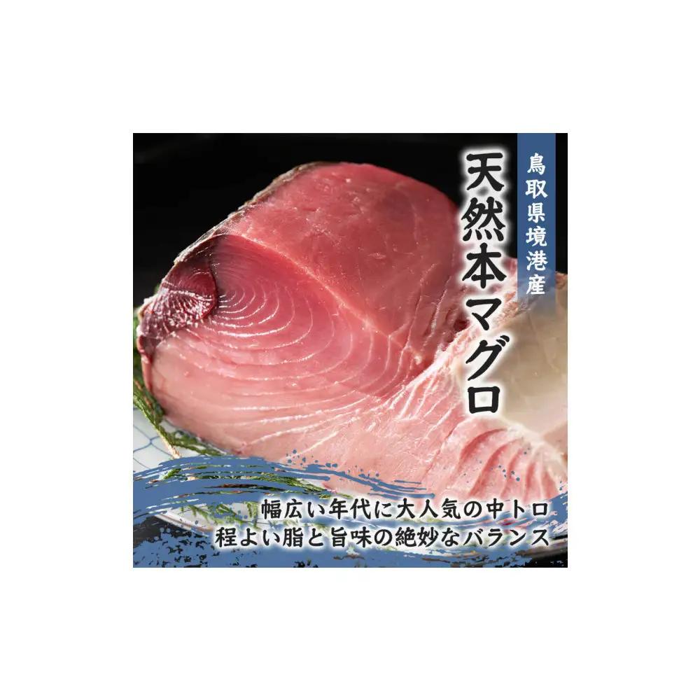天然本マグロ(黒マグロ)　中トロ300～400g