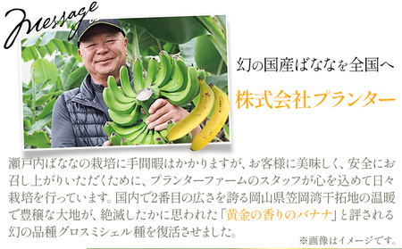 フローズン瀬戸内ばなな 100g ×5 バナナ