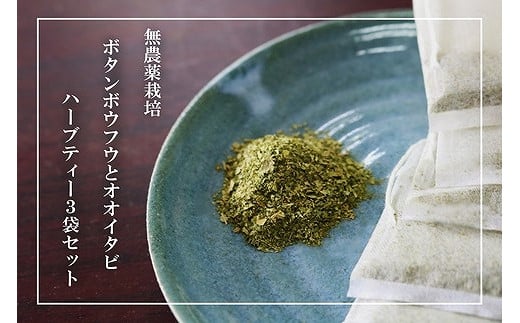 
【180杯分！】無農薬ボタンボウフウと大崖石榴茶 （長命草とオオイタビハーブティー） 3袋セット
