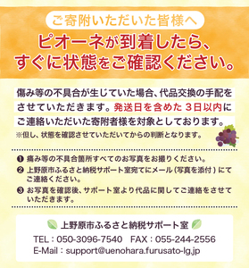 ＜2024年先行予約＞【山梨県産】ぶどう約2kg（種なしピオーネ）