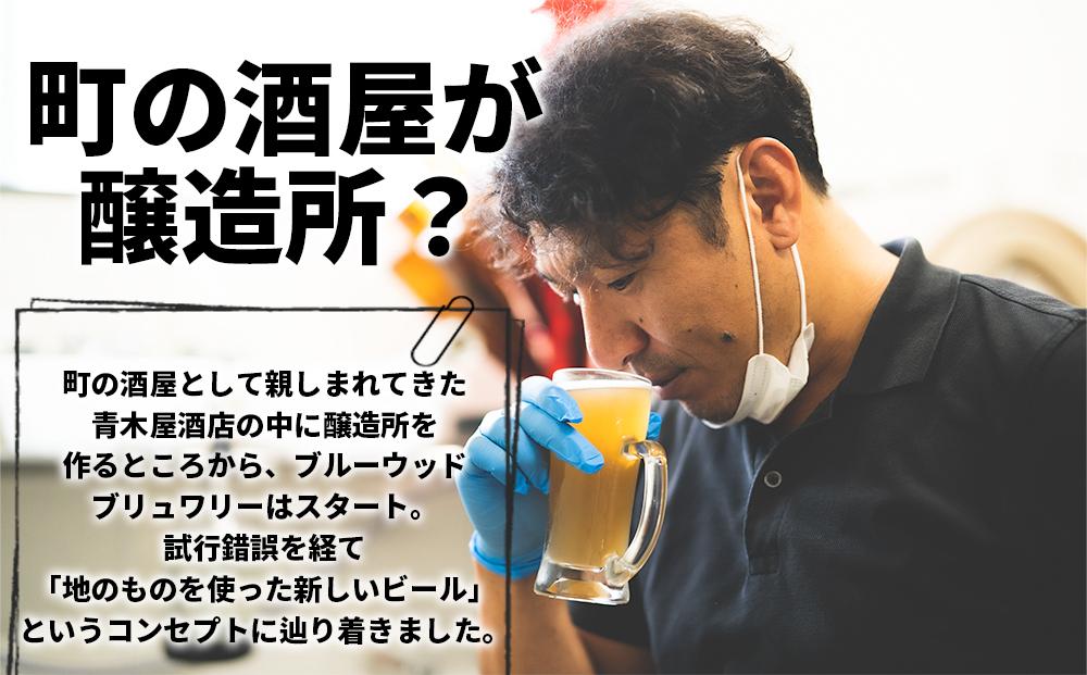 ブルーウッドブリュワリー定番と季節のおすすめセット（計4本）　3か月定期便 BY11_イメージ3