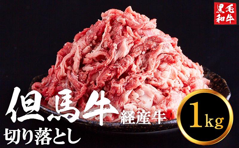
            但馬牛経産牛「切り落とし」１ｋｇ 015AA02N.／ 黒毛和牛 いちかわ精肉店 赤身 ヘルシー 経産牛 牛肉 国産 bbq カレー 牛丼 バーベキュー 焼肉 すき焼き煮 アウトドア キャンプ 冷凍
          