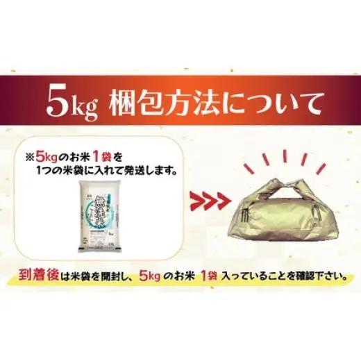 ＜6ヶ月定期便＞2年連続特A評価！千葉県産コシヒカリ【無洗米】5kg×6ヶ月連続 計30kg E014